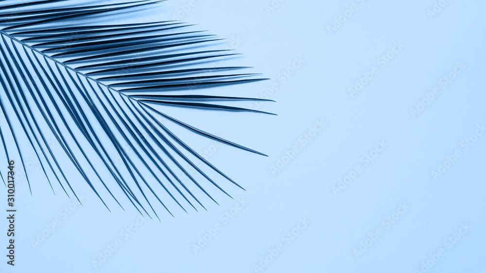 Fototapeta premium Tropical palm leaves on blue background. Tropical palm leaves top view or flat lay. Copy space for text or design. Horizontal banner. Floral pattern background