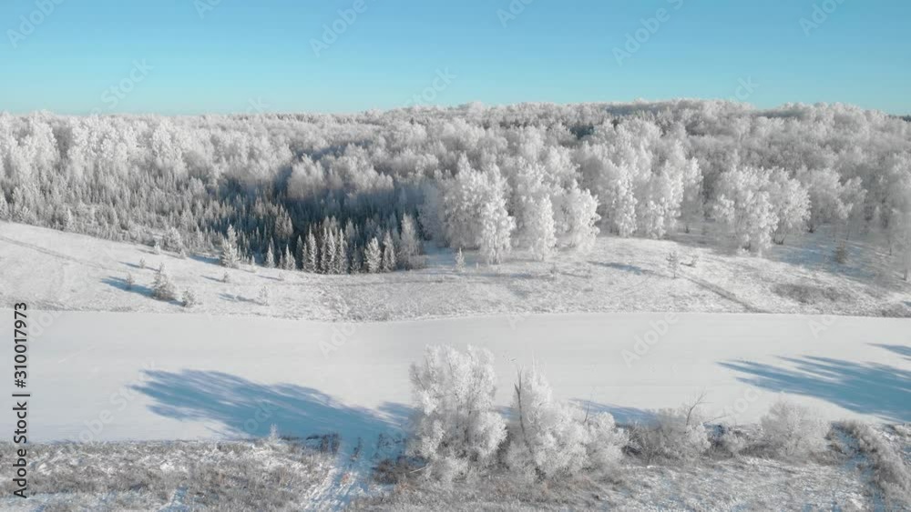 View of a beautiful winter frosty forest, where the trees are all in hoarfrost View of a beautiful winter frosty forest, where the trees are all in hoarfrost