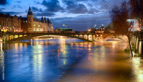 Night view of Paris flood as river Seine rises and approaches record level. © trialartinf