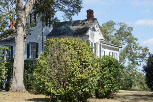 Beautiful white historic antebellem house photo