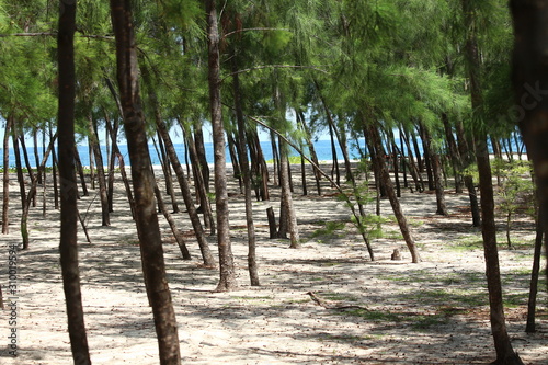 Island of Mbudya in Tanzania / Île de Mbudya en Tanzanie photo