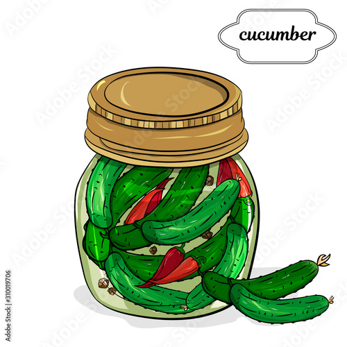 Preserved cucumbers in a glass jar. Hand drawing. . Preserving, homemade food.