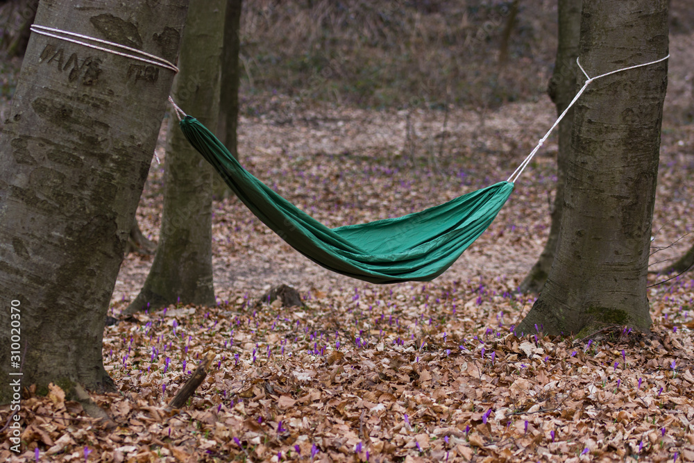 Hammock in the forest! Chilling in the woods