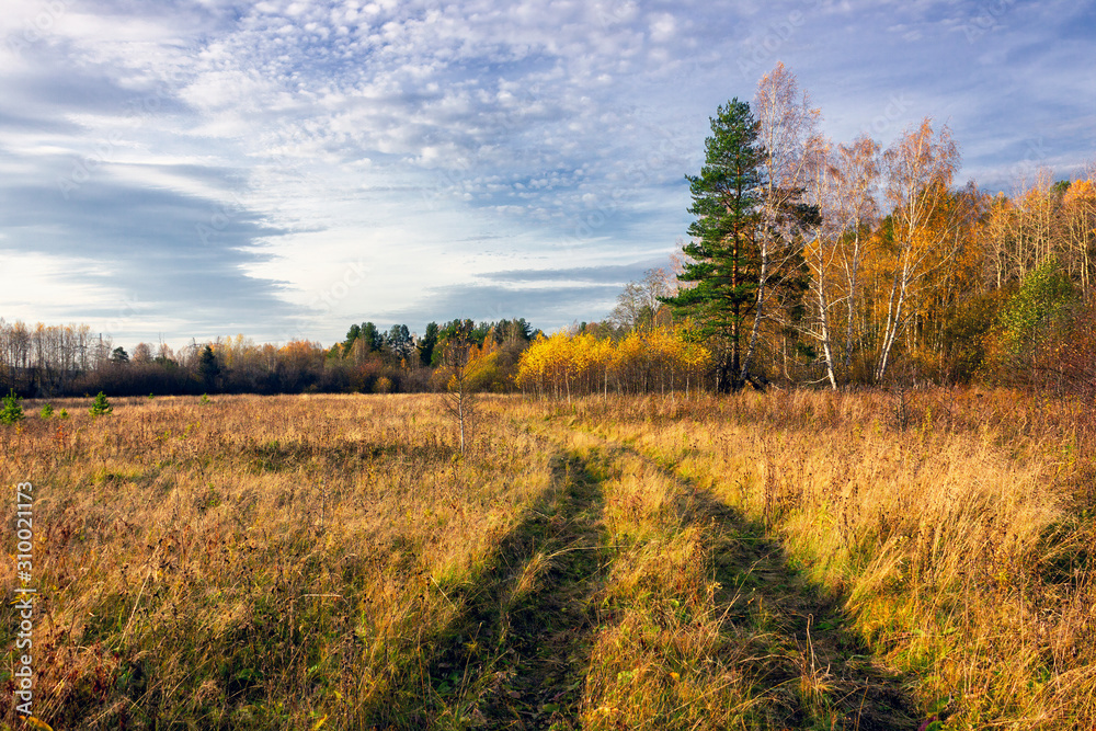 Autumn rural landscape. Yellowed grass in the meadow against the background of the forest and blue sky with beautiful clouds. Autumn rural landscape. Yellowed grass in the meadow against the background of the forest and blue sky with beautiful clouds.