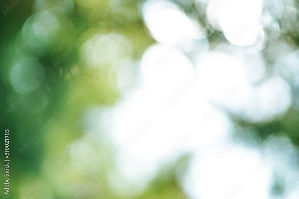 Fototapeta premium abstract green natural bokeh background