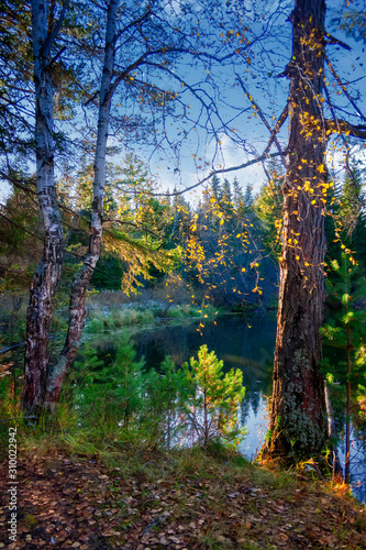 Beautiful autumn trees reflecting on the smooth water surface. Warm autumn day on the river. River bank landscape. photo
