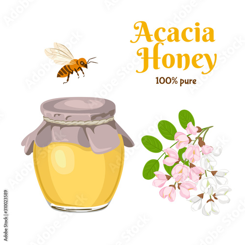 Acacia honey in a glass jar, a bee and a branch of blooming acacia isolated on a white background. Vector illustration of natural organic sweets and spring flowers in cartoon flat style.