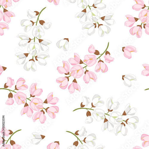 Acacia flowers seamless pattern. Branches of blooming acacia isolated on white background. Vector illustration of blossoming tree in cartoon flat style. White and pink acacia.