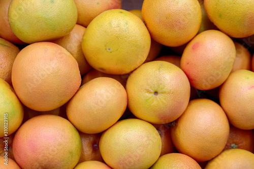 Grapefruit harvest. many grapefruit. grapefruits for food textures and backgrounds. A backdrop of grapefruits.