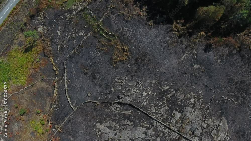 Deforestation forest fire natural disaster aerial shot 4k Deforestation forest fire natural disaster aerial shot 4k