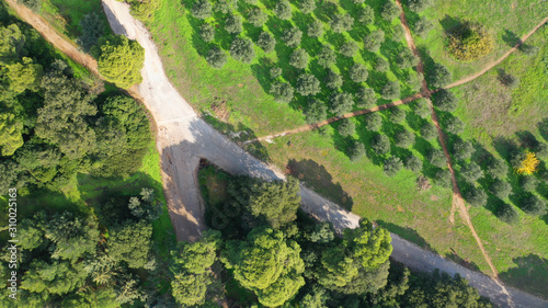 Aerial drone top down photo of beautiful nature in Greenwich park, London, United Kingdom photo