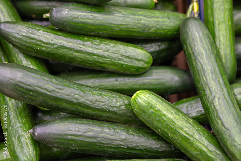 Green cucumbers on shelf in supermarket. Organic eating.