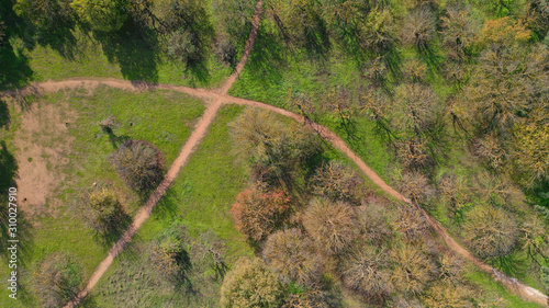 Aerial drone photo of beautiful park of Syggrou with rare trees and beautiful nature, Marousi, North Athens, Greece photo