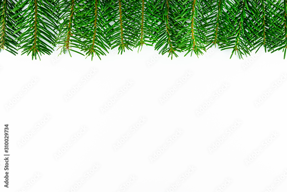 A frame made of fir, twigs arranged at the top, isolated on a white background. A frame made of fir, twigs arranged at the top, isolated on a white background.