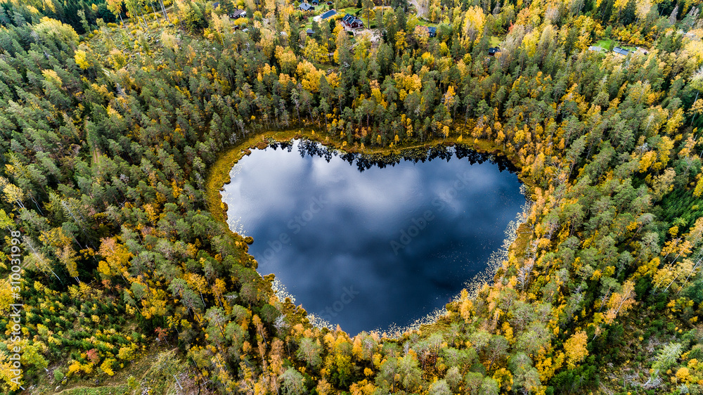 Heart-shaped lake surrounded by forest Heart-shaped lake surrounded by forest