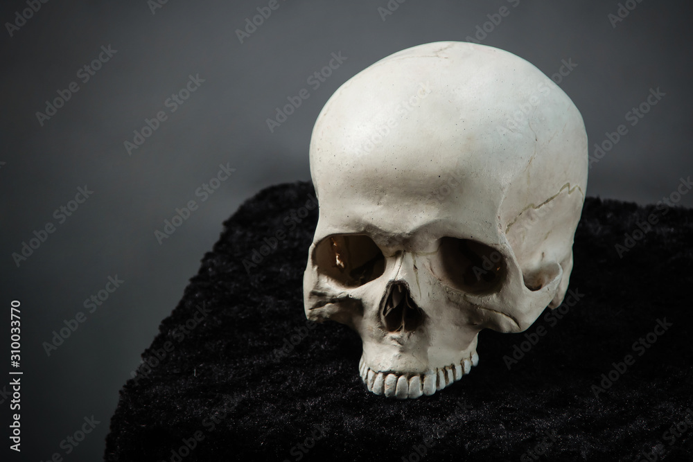 Fototapeta premium Skull lying on the altar in the dark on a black background.