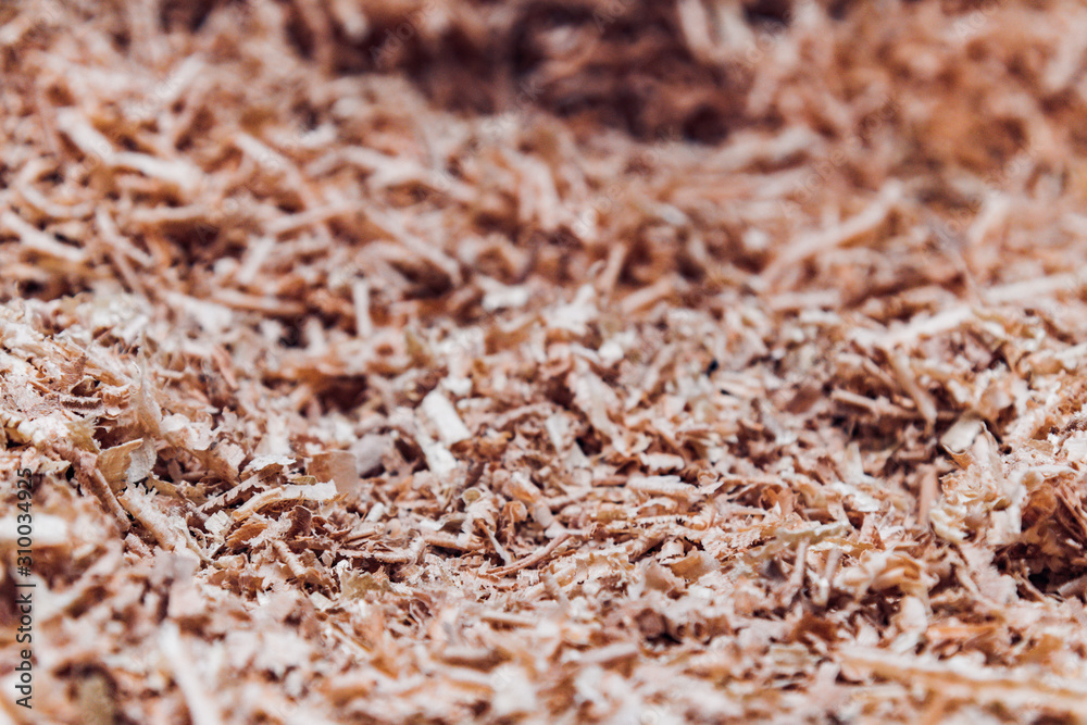 Wood shavings in a woodworking workshop Wood shavings in a woodworking workshop