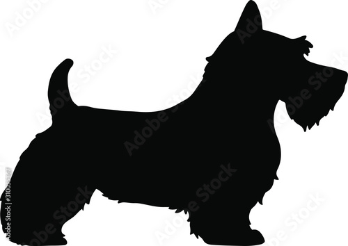 Silhouette of Scottish Terrier dog