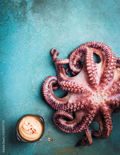 Raw octopus
