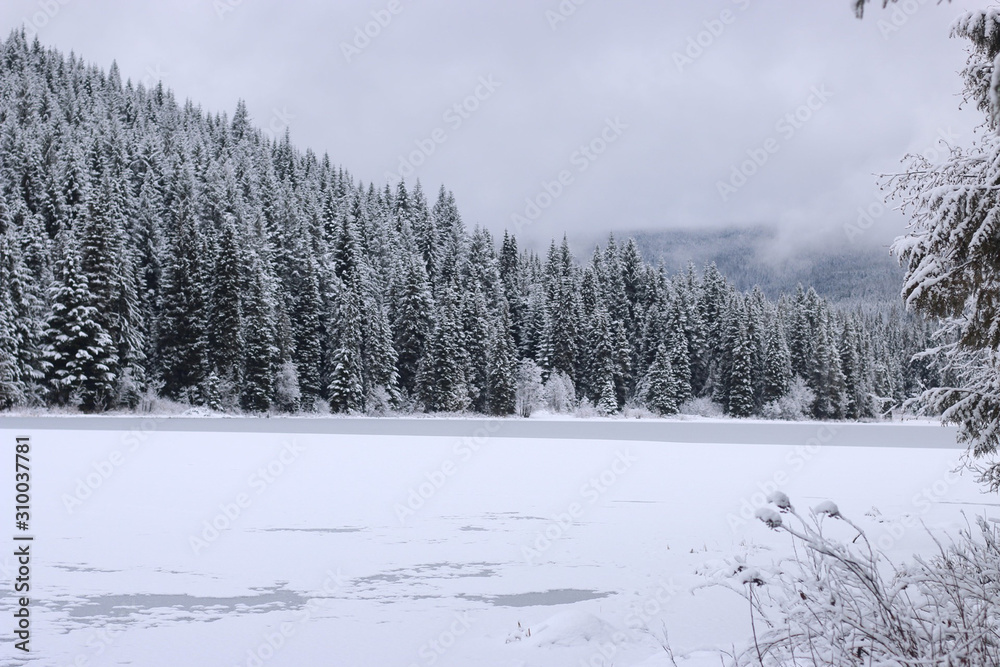 Lake Lake