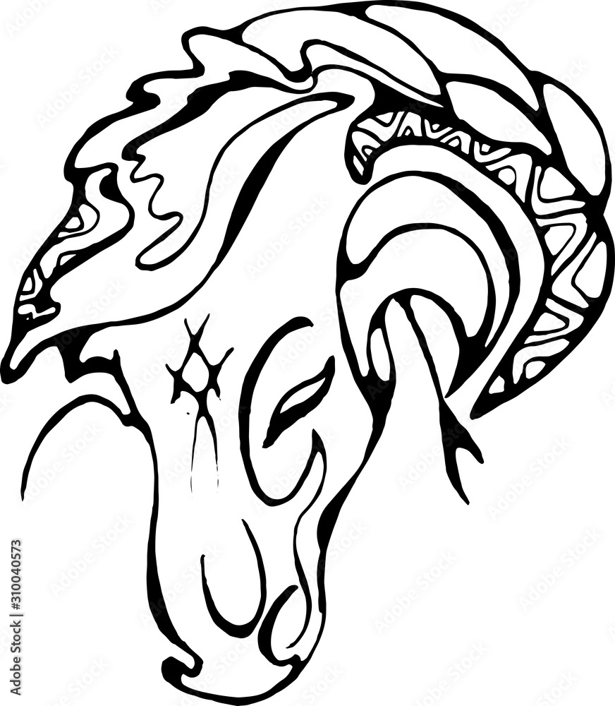 Obraz premium Horse head illustration. Grace and beauty.