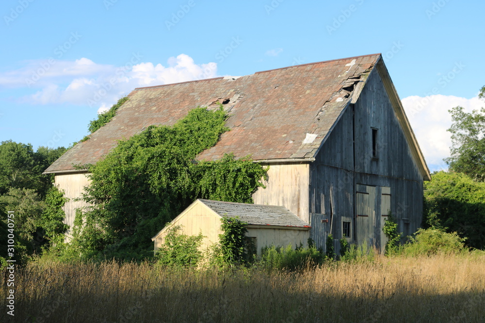 Obraz premium Old abandoned historic farmhouse with broken windows and peeling paint