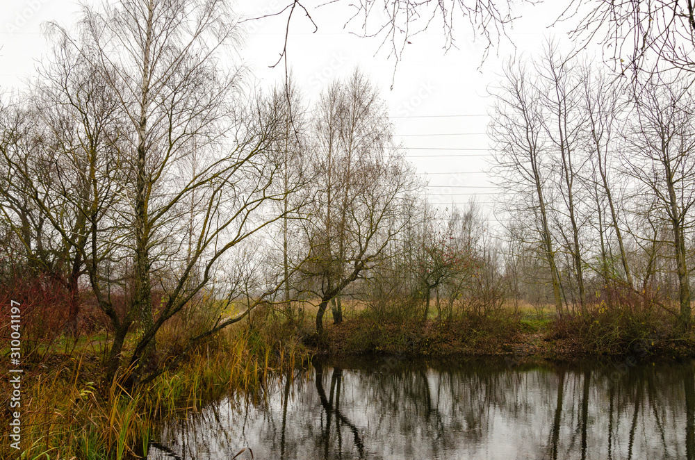 Gray autumn landscape. Birch and other trees by the lake or river. Fog and light haze in the sky. High voltage power lines hang over the trees. Gray autumn landscape. Birch and other trees by the lake or river. Fog and light haze in the sky. High voltage power lines hang over the trees.