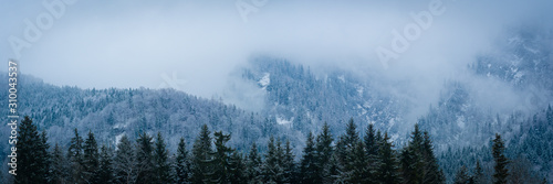 Wolken mit Wald und Berge in im Winter - Alpen Panorama