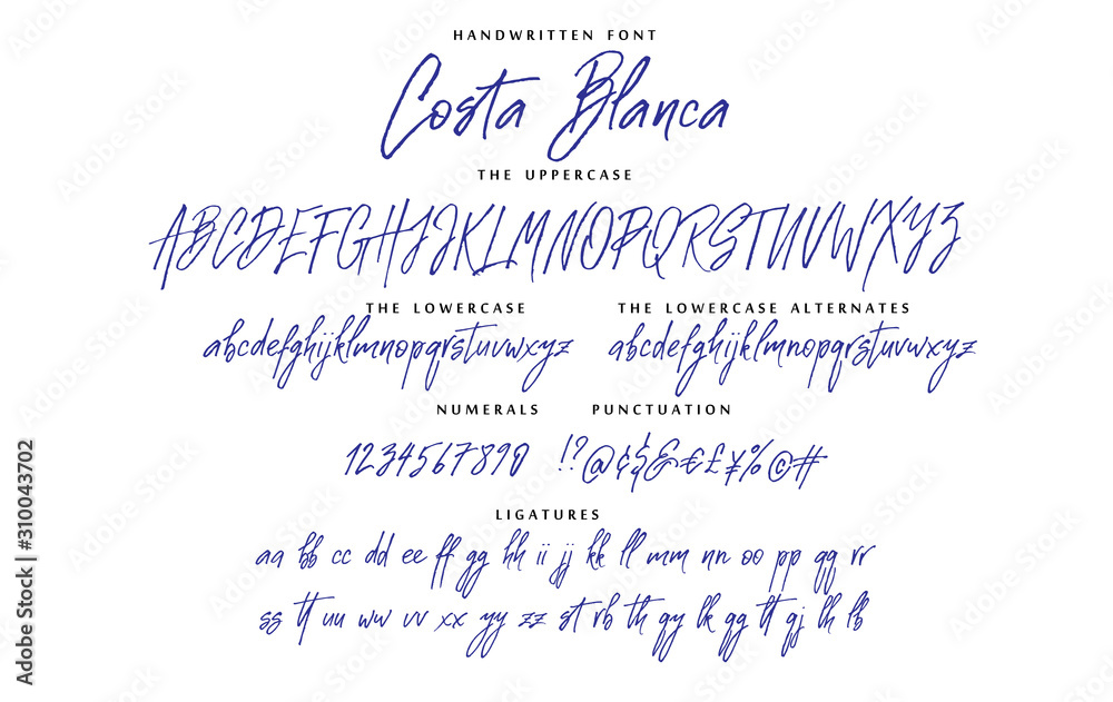 Handwritten script font vector alphabet Costa Blanca set