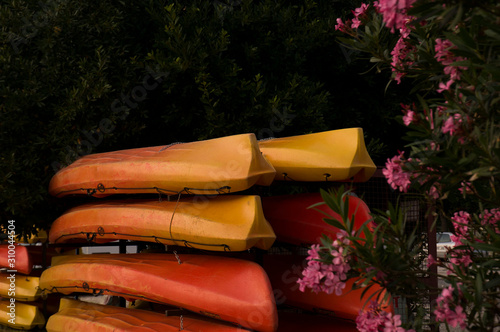 Multi-colored canoes and kayaks on racks. Texture of colored kayaks on a background of pink flowers on a sunny day.