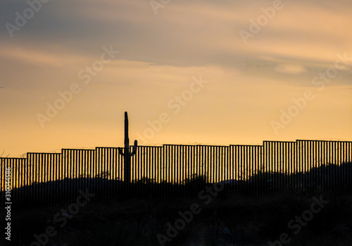 Section of US border wall with Mexico in southern Arizona with iconic saguaro cactus 