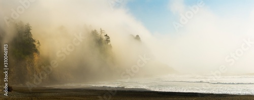 фотографія Landscape of a beach surrounded by the sea and greenery covered in the fog under