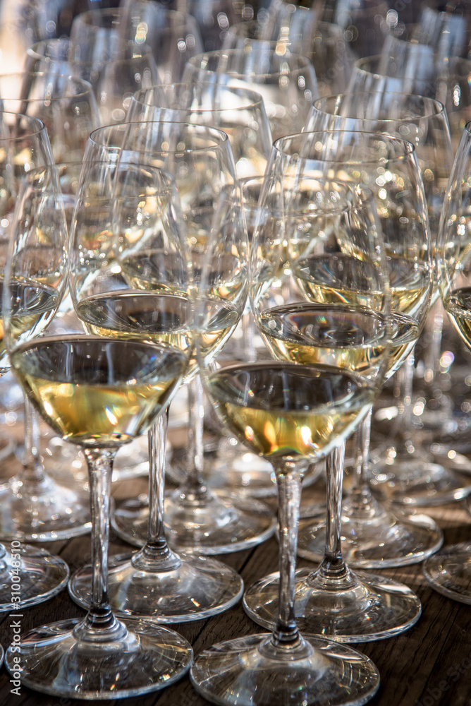 wine glasses for wine tasting wine glasses for wine tasting