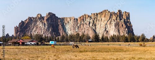 Smith Rock in the background of a meadow with grazing horses