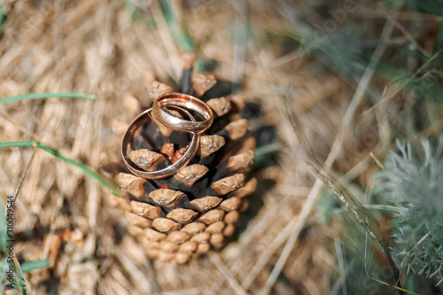 bump and rings