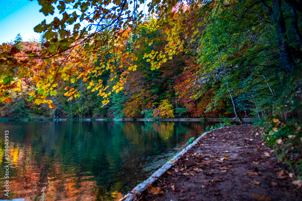 Autumn landscape near the lake