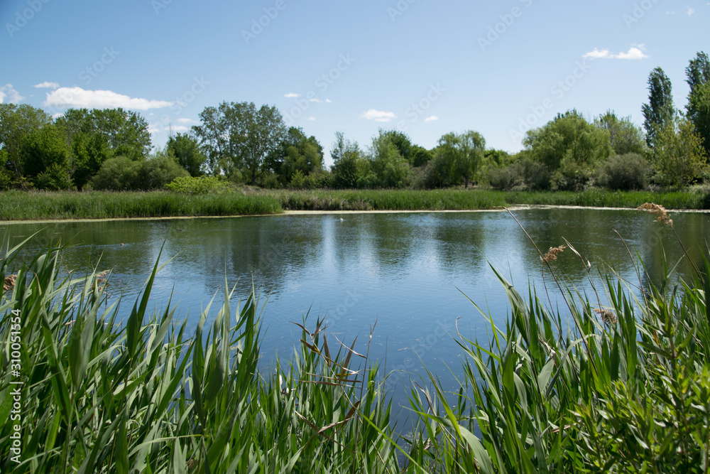 LAGOON OF GANDIA ON A SUNNY DAY