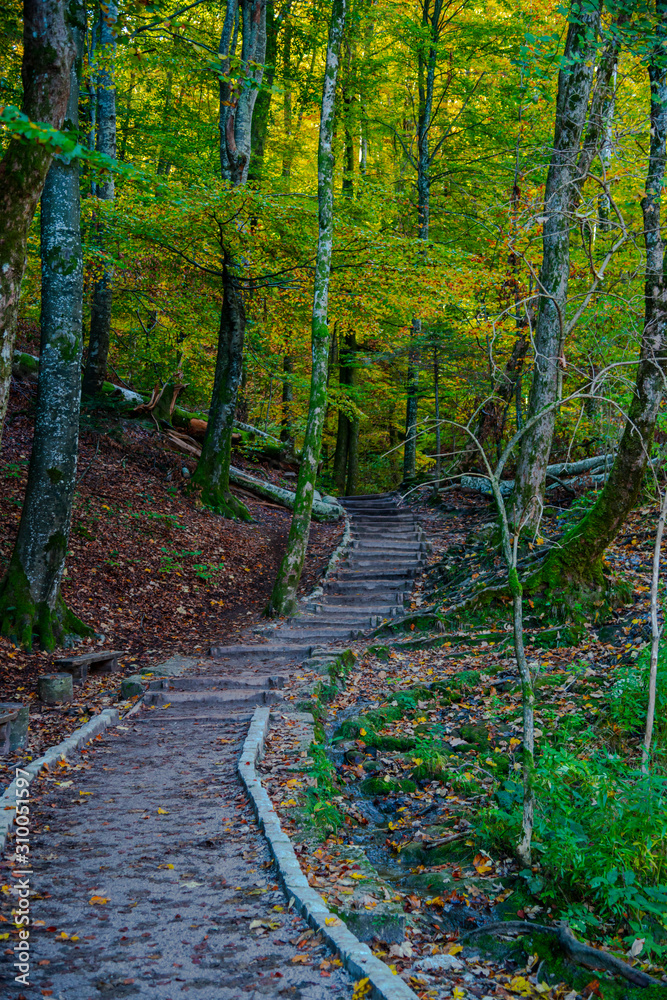 Fototapeta premium Autumn landscape in Plitvice Park, Croatia