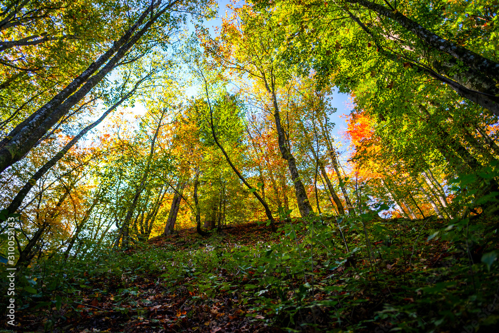Autumn landscape in Plitvice Park, Croatia Autumn landscape in Plitvice Park, Croatia