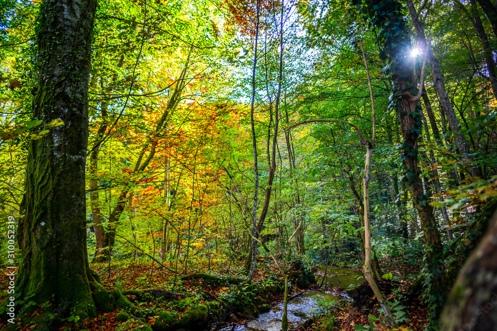 Autumn landscape in Plitvice Park, Croatia Autumn landscape in Plitvice Park, Croatia