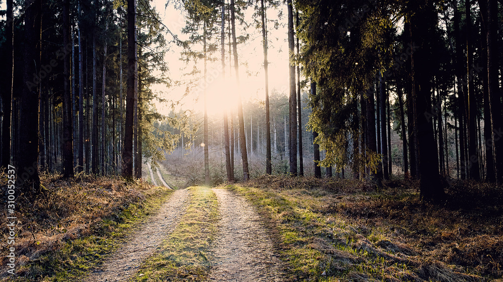 Obraz premium Licht am Ende des Weges