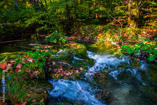 Autumn landscape in Plitvice Park  Croatia