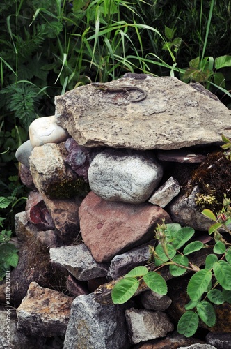 Steinhaufen aus Lesesteinen mit Eidechse im Garten