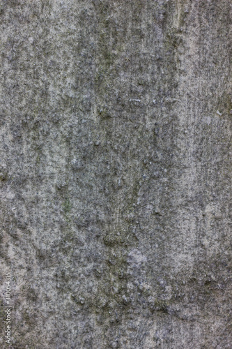 Wallpaper Mural Structured Background Torontodigital.ca