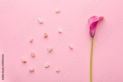 Skin care concept. Sea salt and calla lily flower on a pink pastel background