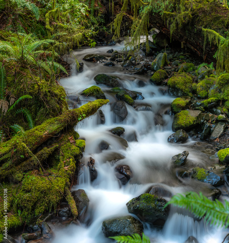 Olympic National Park Cascades 2659
