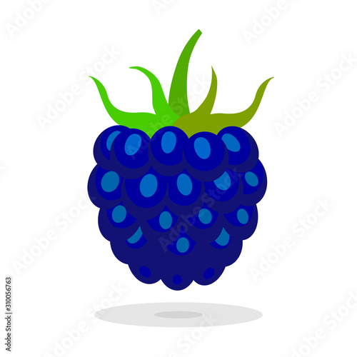 Sweet classic blue berry isolated on white background. Color of the year 2020 concept. Stock vector illustration. Blackberry icon for food and drink concept, medical cosmetics,  t-shirt print, logo