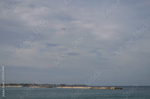 seagulls on the sea © Olena