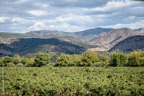 farm field by mountain