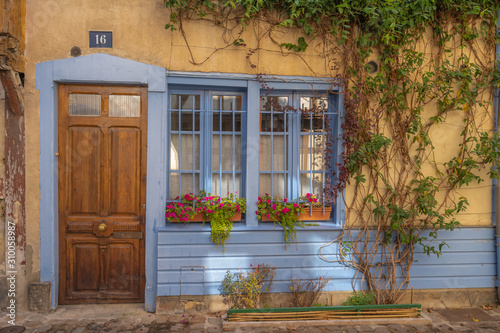 Troyes  France - 09 08 2019  Facade of a blue and yellow house with plants and climbers